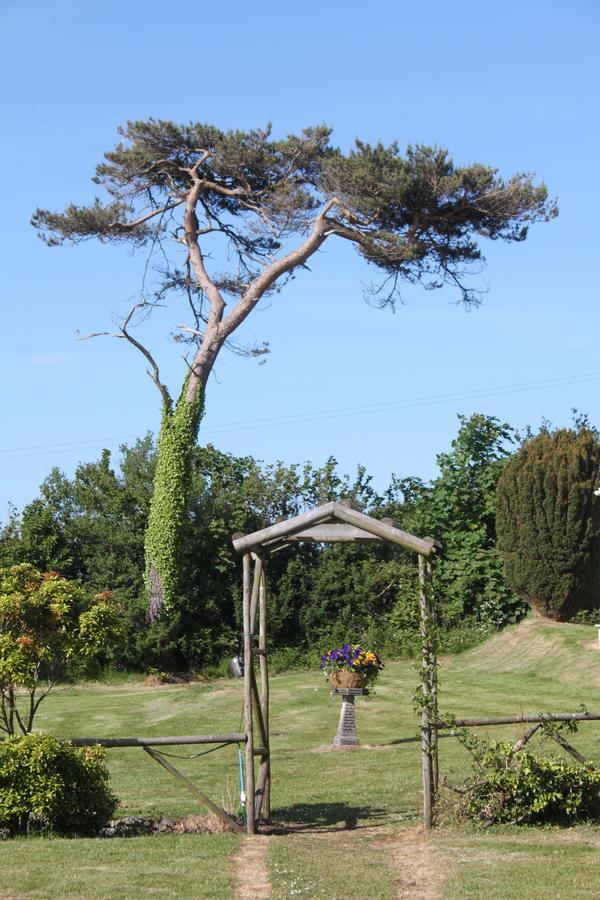Bryn Eisteddfod B&B Clynnog-fawr Luaran gambar